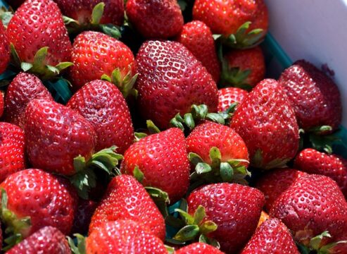 Urban Farming: Here Is How To Grow Organic Strawberries In Your 