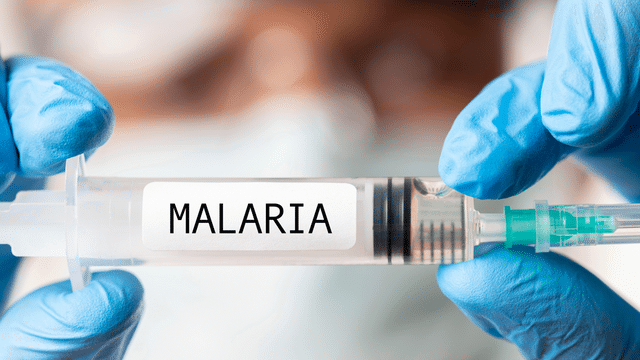 What you need to know about the new malaria vector now in Kenya