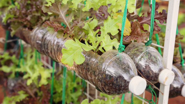 How to recycle plastic bottles